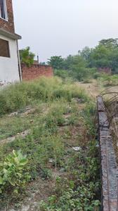 Shri Hari nagar colony kalli pashim Plot View 3