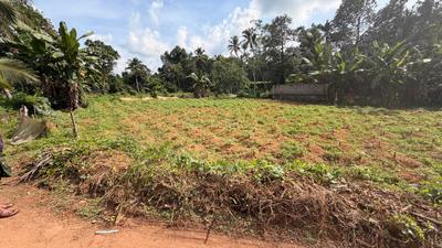 Image of 11000 Sq.ft Residential Plot / Land for sale in Kottarakkara, Kollam for Rs. 6500000