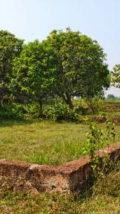 Image of 1950 Sq.ft Residential Plot / Land for sale in Kantabada, Bhubaneswar for Rs. 4700000