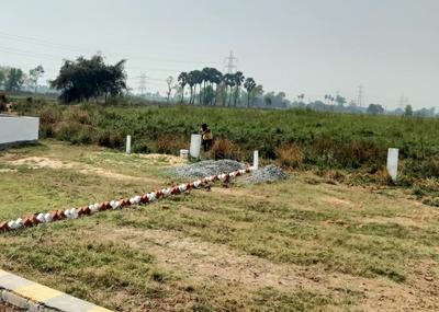 Bihta Plot View 4