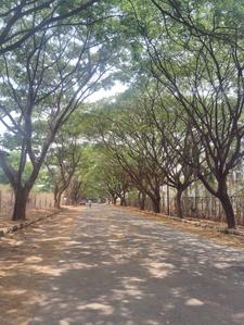 Image of 1672 Sq.ft Residential Plot / Land for sale in Chandapura, Bengaluru for Rs. 7942000