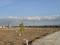 Theur Plot View 2