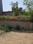 Raj Nagar Extension Plot View 2