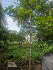 Image of 2400 Sq.ft Residential Plot / Land for sale in Chandra Layout Extension, Bengaluru for Rs. 32000000