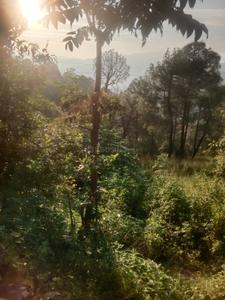 Image of 21000 Sq.ft Residential Plot / Land for sale in Bintola Malla, Almora for Rs. 4200000