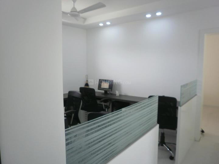 Royal Palm Main Image 1