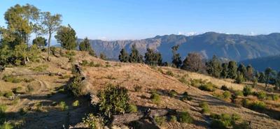Image of 5000 Sq.ft 1.5 BHK Farm House for sale in Mukteshwar, Nainital for Rs. 150000000
