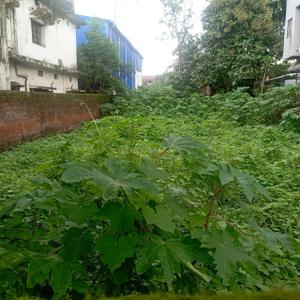 Image of 4400 Sq.ft 1 RK Farm House for rent in Ratu Basti, Ranchi for Rs. 100000