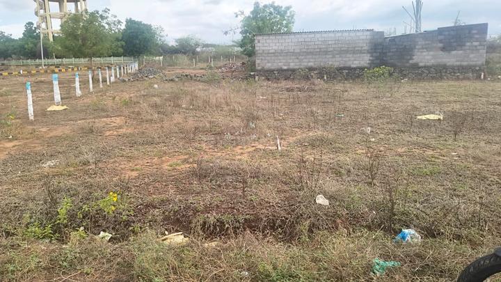 Shekinah Main Image 1