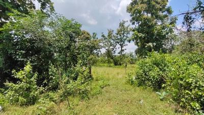 Image of 31968 Sq.ft Residential Plot / Land for sale in Kothavalasa, Visakhapatnam for Rs. 14800000