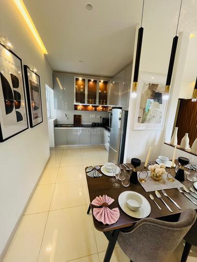 Codename Plus Life Main Image 1