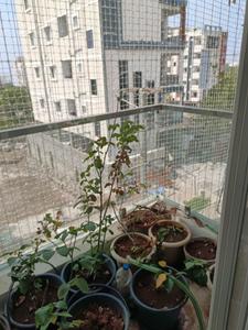 Bedroom Two Image of 1730 Sq.ft 3 BHK Apartment / Flat for rent in Bachupally Hyderabad for Rs. 26000