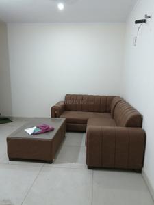 Hall Image of 800 Sq.ft 2 BHK Apartment / Flat for rent in Gillco Palms, Sector 115 Mohali for Rs. 24500