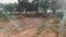 Othakalmandapam Plot View 2