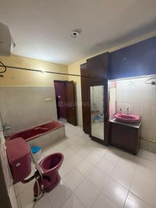 Bathroom Image of 1800 Sq.ft 4 BHK Builder Floor for rent in Sector 35 Chandigarh for Rs. 70000