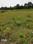 Wagdara Main Image 1
