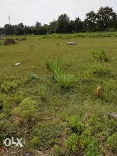 Wagdara Main Image 1