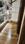Balcony Image of Sunshine Appt  in Neb Sarai, New Delhi