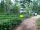 Image of 75 Sq.ft Residential Plot / Land for sale in MYS Pentagon Colony, Pattom, Thiruvananthapuram for Rs. 350000