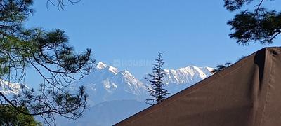 Image of 300 Sq.ft Residential Plot / Land for sale in Kausani, Almora for Rs. 2500000