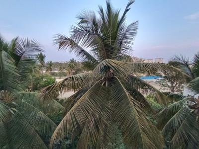 Image of 1147 Sq.ft 2 BHK Apartment / Flat for sale in Sri Krishna Excel Stone by Sri Krishna Builders And Developers, Varthur, Bengaluru for Rs. 7250000