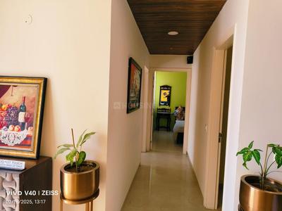 Hall Image of 1486 Sq.ft 3 BHK Apartment / Flat for sale in Omaxe The Resort, New Chandigarh Chandigarh for Rs. 11500000