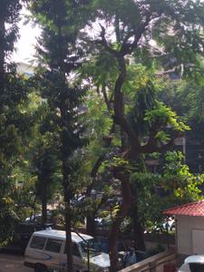 Image of 625 Sq.ft 1 BHK Apartment / Flat for sale in Vashi, Navi Mumbai for Rs. 19000000