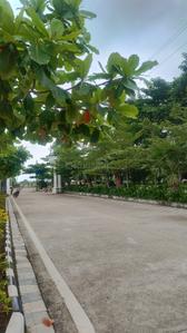 Image of 1447 Sq.ft 3 BHK Independent House for sale in Bhilai Marshalling Yard, Charoda for Rs. 3991000