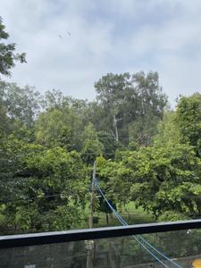 Balcony Image of 1800 Sq.ft 3 BHK Builder Floor for sale in Ashok Vihar New Delhi for Rs. 47500000