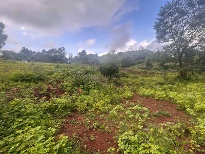 Image of 15000 Sq.ft Residential Plot / Land for sale in Maval, Lonavala for Rs. 18000000