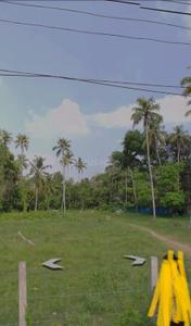 Image of 1350 Sq.ft Residential Plot / Land for sale in Aryad South, Alappuzha for Rs. 275000
