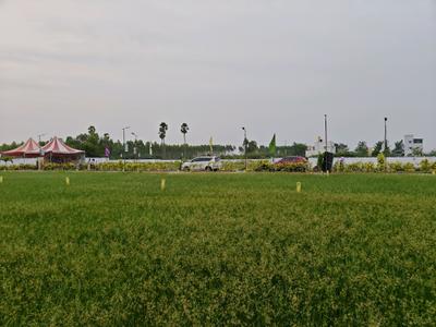 Image of 1050 Sq.ft Residential Plot / Land for sale in Adhanur, Chennai for Rs. 4933950