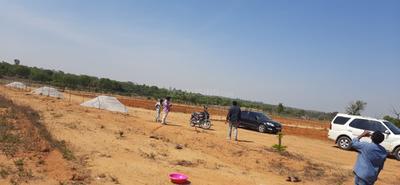 Ootla Plot View 2