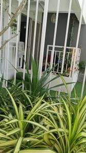 Balcony Image of 958 Sq.ft 2 BHK Apartment / Flat for sale in Saheel Waterfront, Ravet Pune for Rs. 7800000