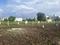 Wagholi Plot View 2