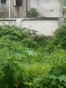 Image of 836 Sq.ft Residential Plot / Land for sale in Bada Bangarda, Indore for Rs. 3762000