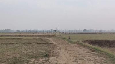 Image of 1200 Sq.ft Residential Plot / Land for sale in Naubatpur, Patna for Rs. 1500000