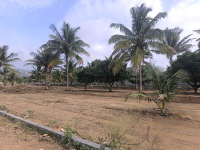 Image of 5977 Sq.ft Residential Plot / Land for sale in Harohalli, Ramnagara, Bengaluru for Rs. 4476811
