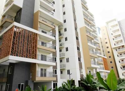 3 BHK Flat