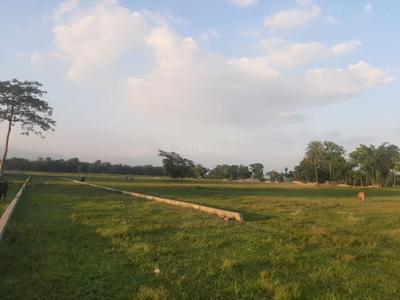 Image of 720 Sq.ft Residential Plot / Land for sale in Naxalbari, Siliguri for Rs. 390000