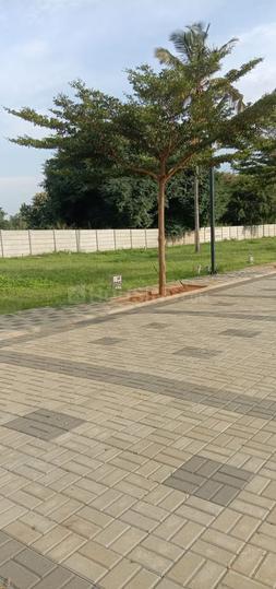 Century Seasons Main Image 1