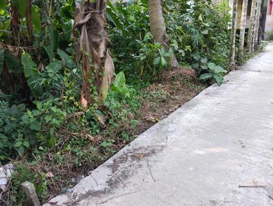 Image of 1082 Sq.ft Residential Plot / Land for sale in Uluberia, Howrah for Rs. 700000
