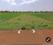 OWN LAND Main Image 1