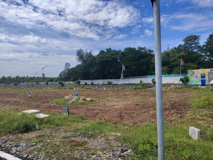 SIP Gold Main Image 1