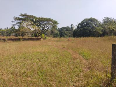 Image of 2428 Sq.ft Residential Plot / Land for sale in Kunduvara, Thrissur for Rs. 700000
