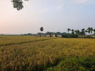 Image of 1440 Sq.ft Residential Plot / Land for sale in New Town, Kolkata for Rs. 2655000