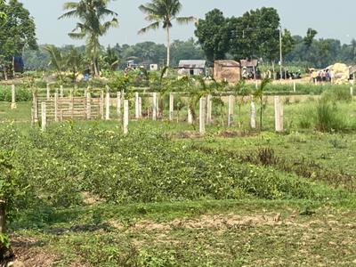 Image of 3600 Sq.ft Residential Plot / Land for sale in Kalyani, Nadia for Rs. 1250000