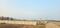 Swapnabhumi Main Image 1