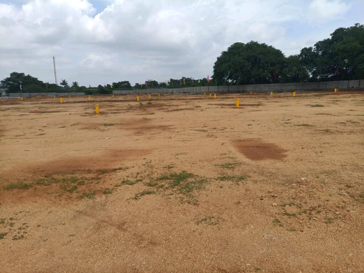 SGD Elite Main Image 1