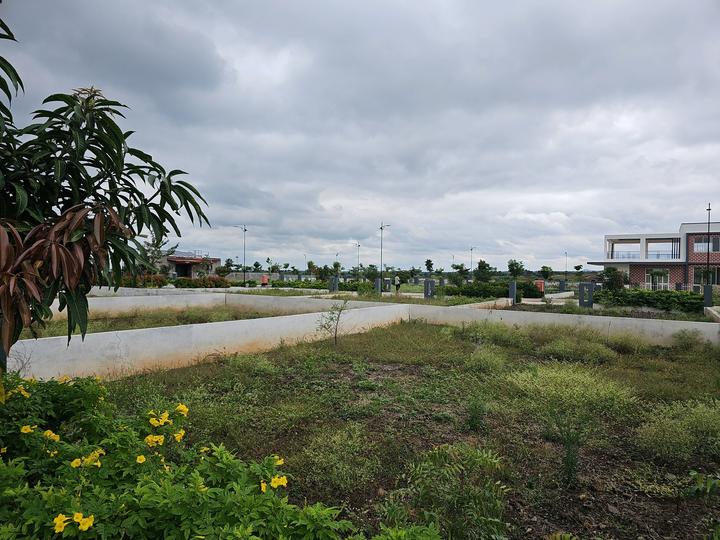 Uruli Kanchan Main Image 1